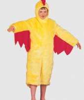 Pluche kippen carnavalpak voor kinderen